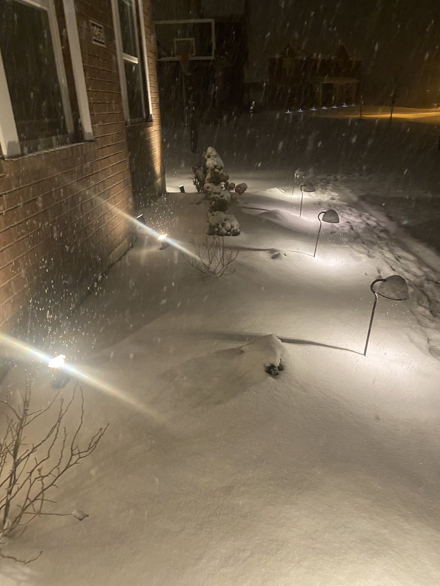 Mike Wilson tweet media