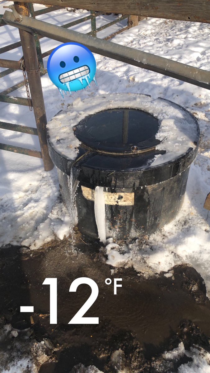whatsonderman's tweet photo. I had to wait for it to get warm today to play in the water https://t.co/HBlhJ13IAS