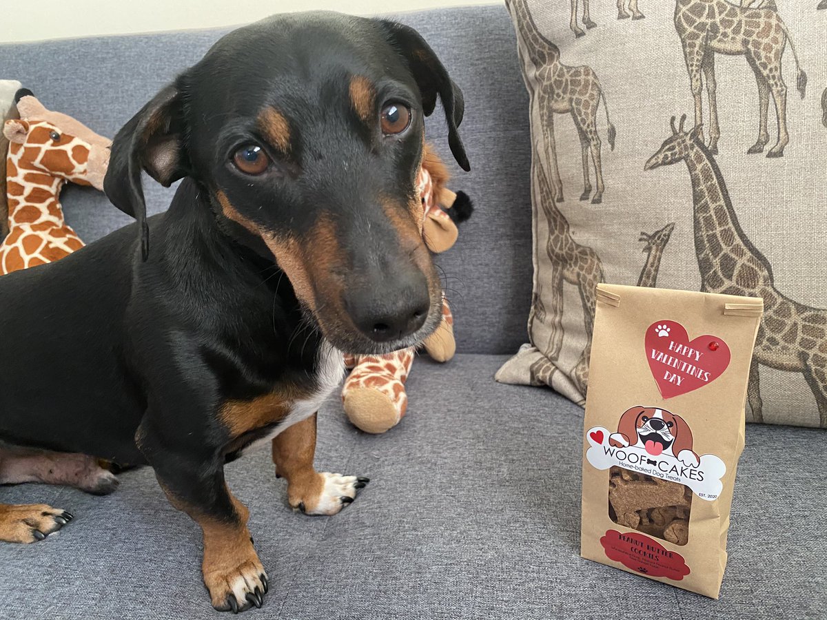 liezelv's tweet photo. Luke giving me the cutest look this morning, I know it’s only because he wants these cute 
“Sausage-dog shaped” treats 🐶 
.
#rescuedog #dogsoftwitter https://t.co/hPOEi3NeCP