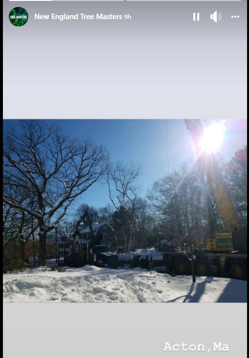 NETreeMasters's tweet image. New England Tree Masters tree service in winter - SNOW❄️scene, Sunny🌞, Blue sky💙in the morning in Acton! 
photo credit: Olivio NE Tree Master @NETreeMasters Instagram photo           #treeservice #ActonMA