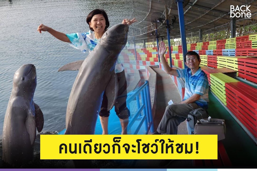 Backbone MCOT tweet media