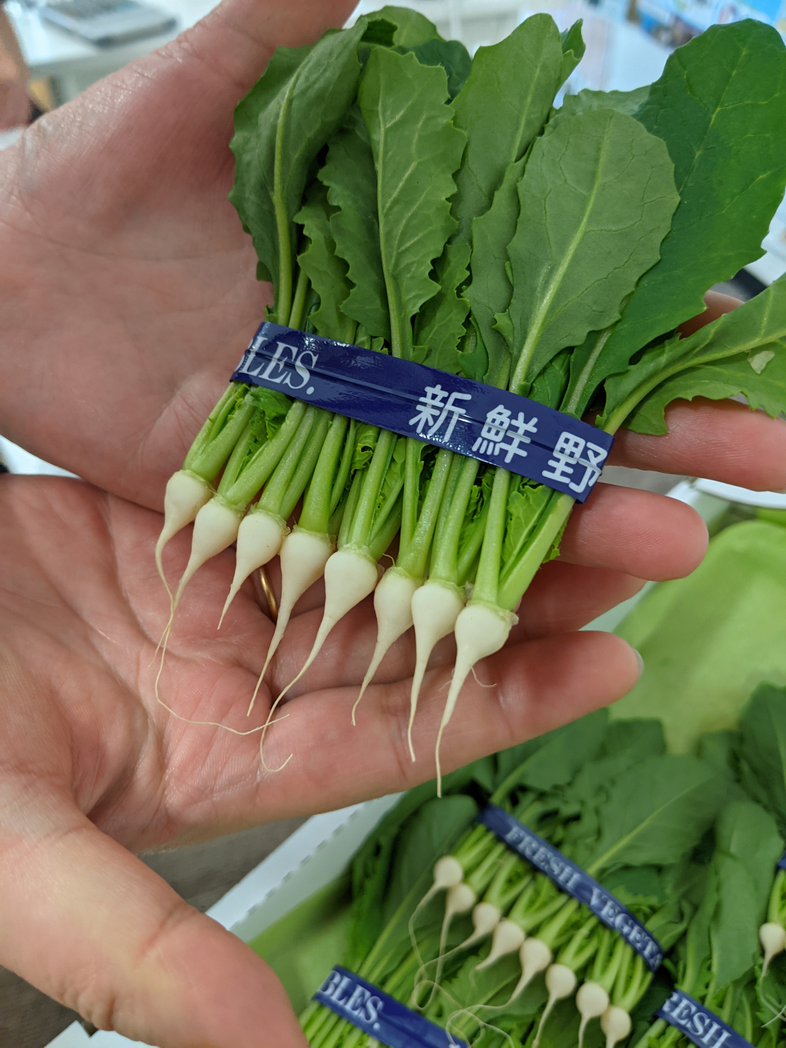 豊洲市場ドットコム 蕪の 間引き菜 といいます 生育途中で間引かれた蕪ですが 料亭などで季節の料理にちょっと添えられたり お漬物にしたり 余すところなく使われてきた素材です T Co Ezgvxrxhhp Twitter