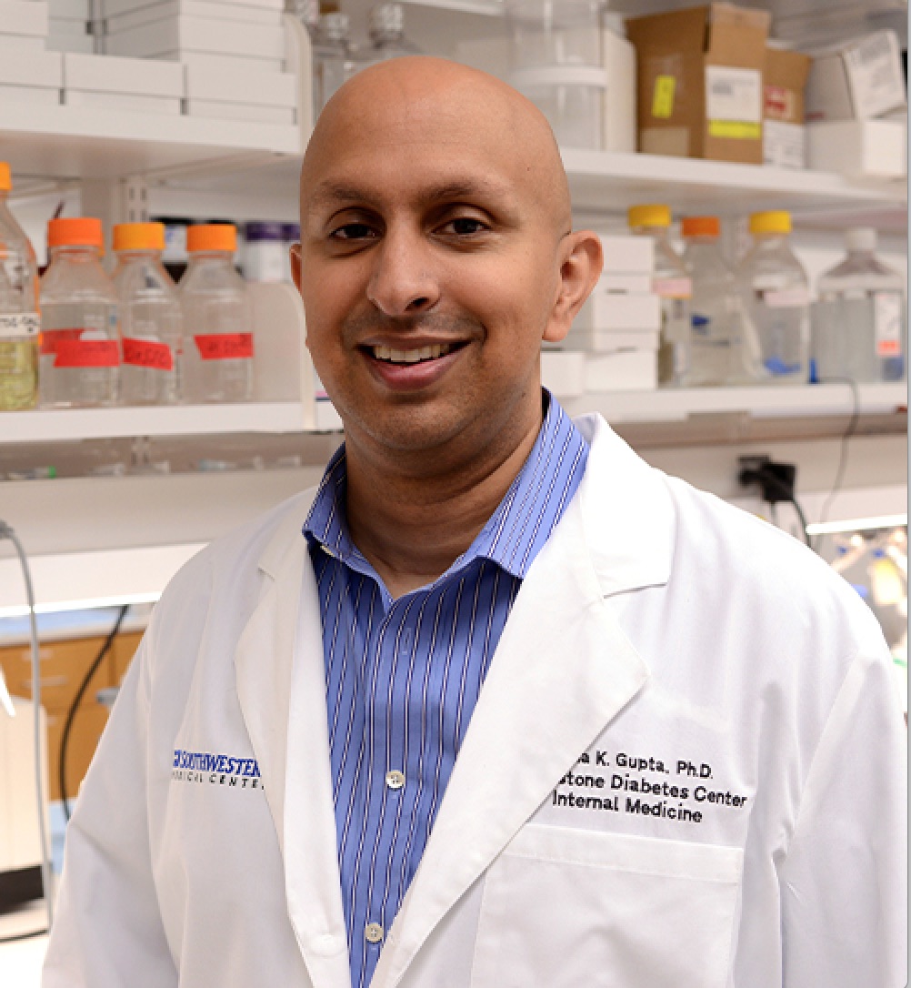 Cell Biology UTSW tweet media