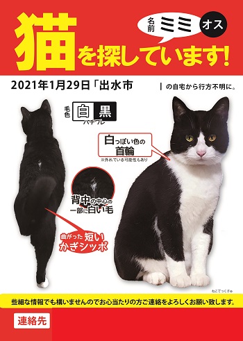 かぎシッポ