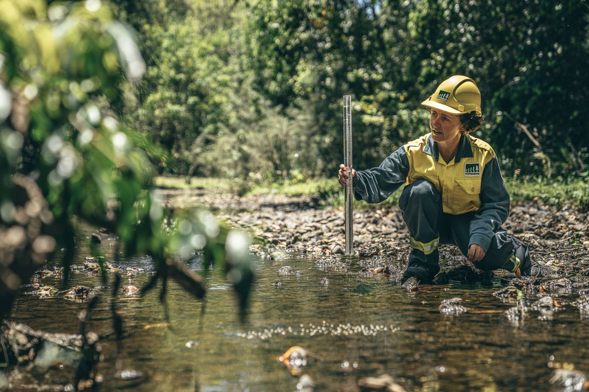 TimberQLD's tweet photo. On International Day of Women and Girls in Science we celebrates female forest scientists like HQPlantations Planning Forester Alison Dillon who has a science career in the natural environment using innovative technology https://t.co/9KmDQtWmpf #ultimaterenewable #WomenInScience https://t.co/0yiE777gwS