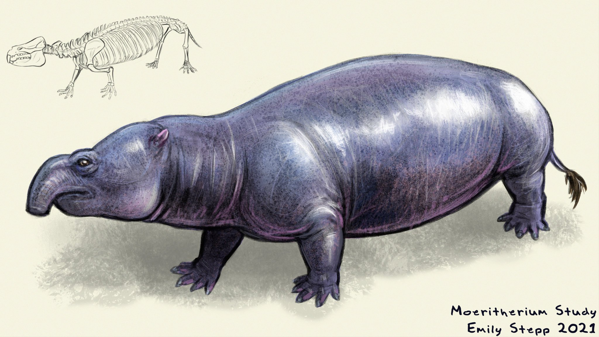 Moeritherium
