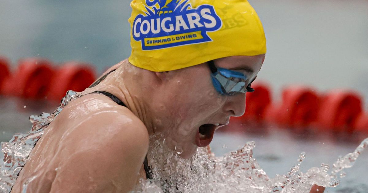 Great Eight: Cougar swimmers continue streak of sectional titles dlvr.it/RsKW06