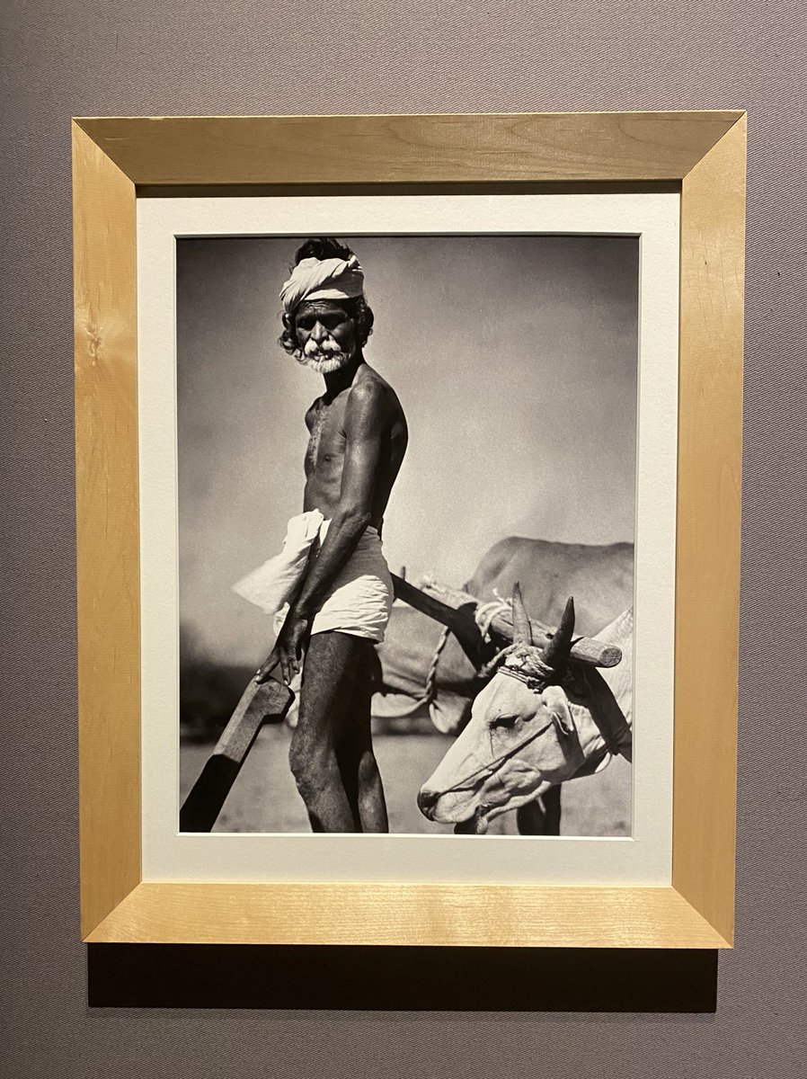 adrianoattus's tweet image. Tornare a visitare una mostra, priceless!
Dai... proviamo a ripartire ✌️
E magari con l’ispirazione della fotografa Margaret Bourke-White, “donna fra gli uomini”
#bourkewhitemilano #palazzoreale