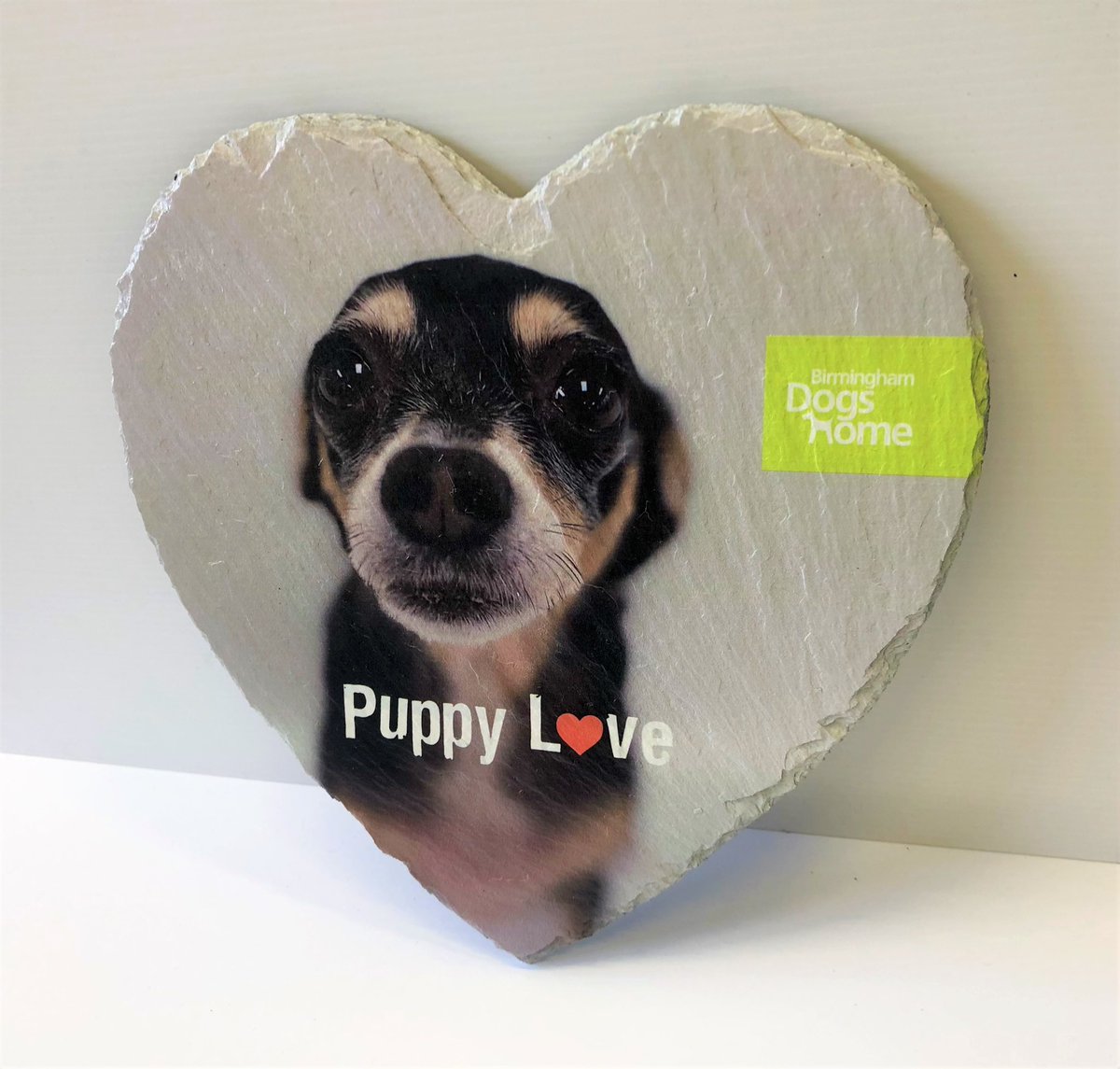 Birmingham Dogs Home tweet media