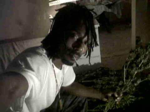gloxgoldnchildr's tweet photo. One of my February moments in #EntertainmentIndustry #BlackHistoryMonth #BlackLivesMatter handing @HempressSativa some flowers, ππ―π²π―πΉππΏπ± to which I am sure was a fulljoyableπ€π€π #Smoke #Herb #Weed #MaryJane #Marijuana #EWFinc #HIM #Rastafari #love @Gloxmc @gloxgoldnchildr https://t.co/iBXpLTXUaK