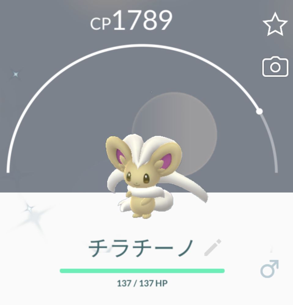 ストレッチ畑 進化前の方がかわいいな O O 色違いポケモン チラーミィ チラチーノ ポケモンgo ストレッチ畑 進化前の方がかわいいな O O 色違いポケモン チラーミィ チラチーノ ポケモンgo