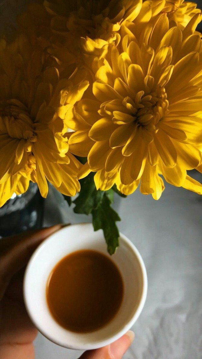 ♡

إنطلقي نحو بداية مُبهجة كوني إيجابية همامة ومعطاءة انوي الخير 
وأحتسبي الأجر بكل خطوة 💛🌻✨.
✨🎀