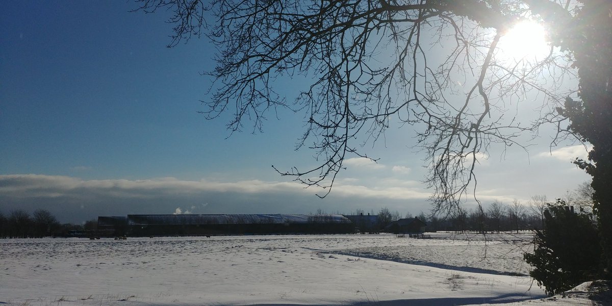 Wat een onthaal vanmorgen. Van zowel kinderen als het landschap. We zijn weer aan de slag. #haarzicht #sterkonderwijsinhetgroen #haarzuilens #vleuten #vleuterweide