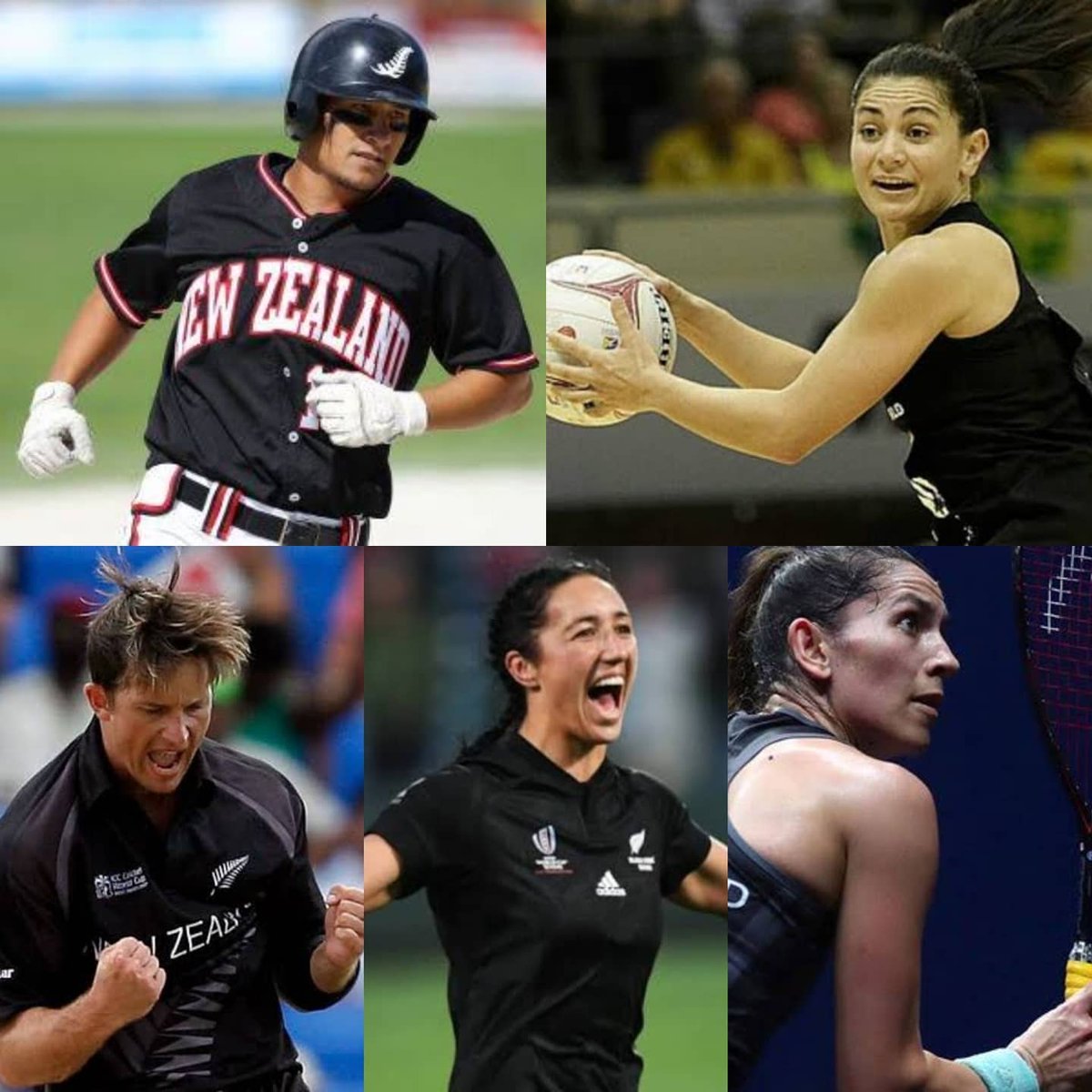 Te Arahi Maipi tweet media