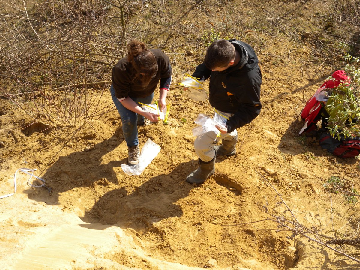 SFB806_CRC806's tweet photo. #OnThisDay in 2014: former PhD students Lydia Krauß and Joerg Zens went on their first fieldtrip to investigate a loess section within a limestone quarry in Romont, Belgium. #TeamLoess #CRC806_D1
Check out the final paper at https://t.co/BChrFaAFyr
#OSL #luminescence https://t.co/x9E9NUYokM