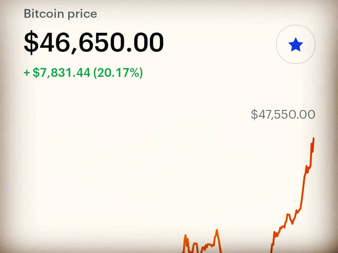 Freefromchainz tweet media