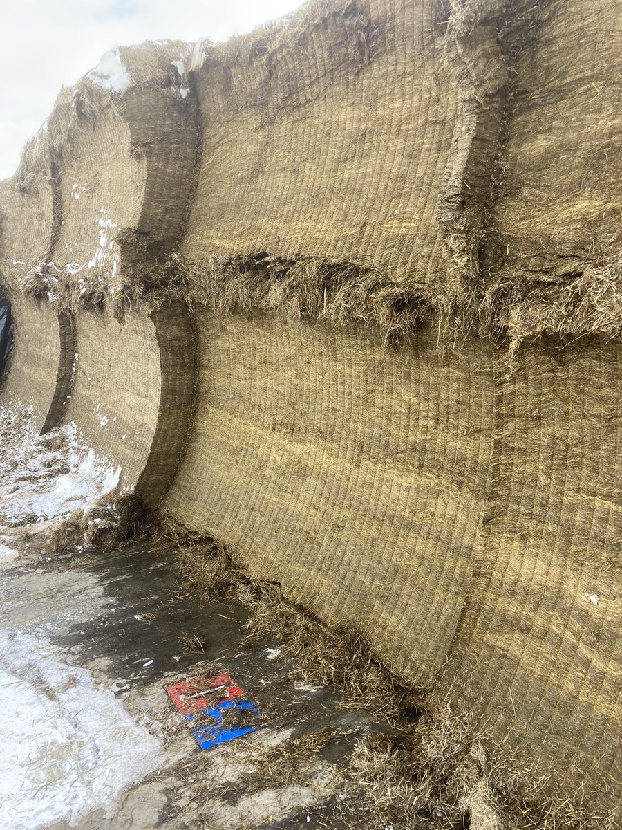 Sjon de Leeuw tweet media