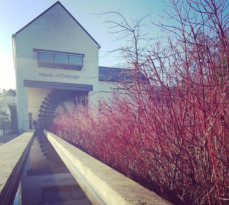 LongueJumelles's tweet photo. #MardiConseil 👀
Le #moulin #Hydronef continue de vivre en organisant des visites guidées en extérieur sur l’#Histoire de l’ancien moulin à farine de @longuejumelles 💦
➡️ https://t.co/LG7ZJQpMa7 https://t.co/8KshlNGOEc
