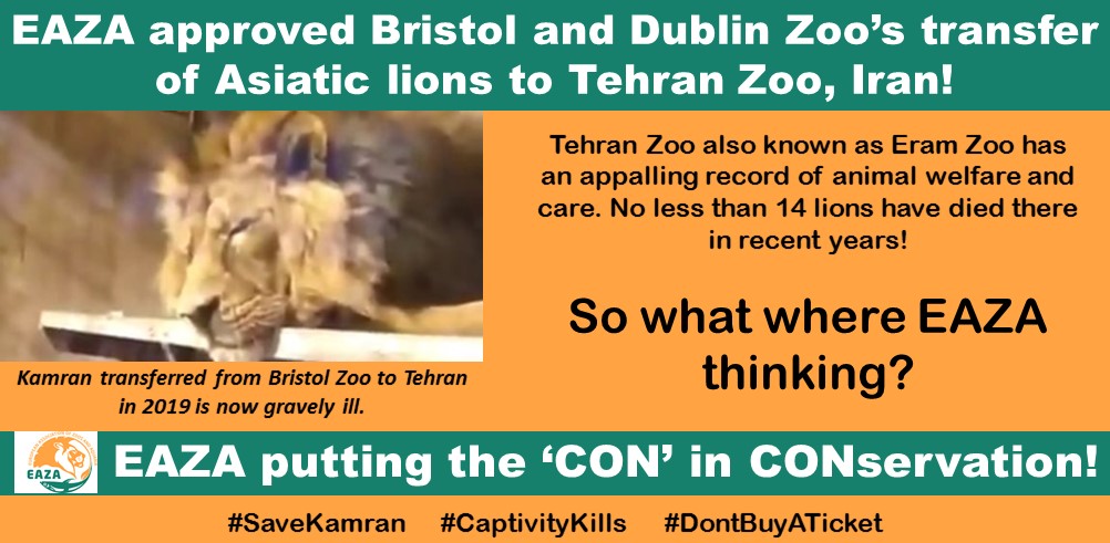 MamboandBetty's tweet photo. Shame on @EAZAFund  approving sending animals to a known substandard hell hole to lead miserable lives! #SaveKamran #CaptivityKills https://t.co/vf3RHF08Ep