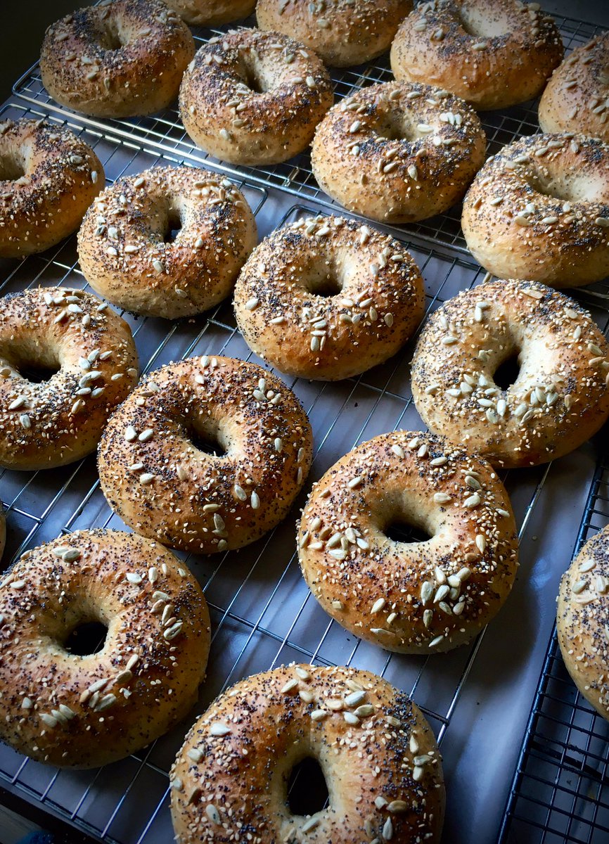 LaBonneParis1's tweet photo. Practice makes perfect! Beautiful bumptious Wholemeal bagels for @PiesseRosie #funkyfrankwell today. Stephanie at the helm. I think she’s cracked it! It’s hot ‘n spicy carrot & lentil soup with mine . How will you eat yours?.... #bagels #busybakergirl #shrewsbury https://t.co/76ilwTgFfL