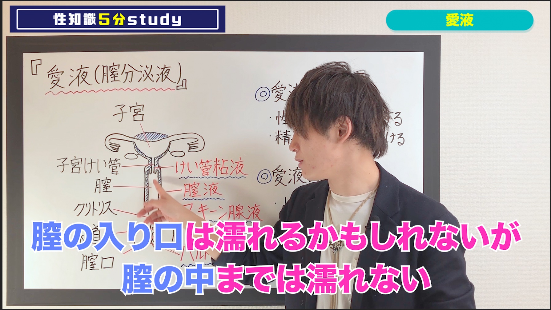愛液 愛液って適当な愛撫だと 膣内からは全く出てなくて 外しか濡れてないってこともある  すると「濡れてるはずなのに挿入が痛い」 というトラブルが起こる 愛液って膣のいろんな場所から違う種類のものが出てるんだよね 女性も知っとこ ...