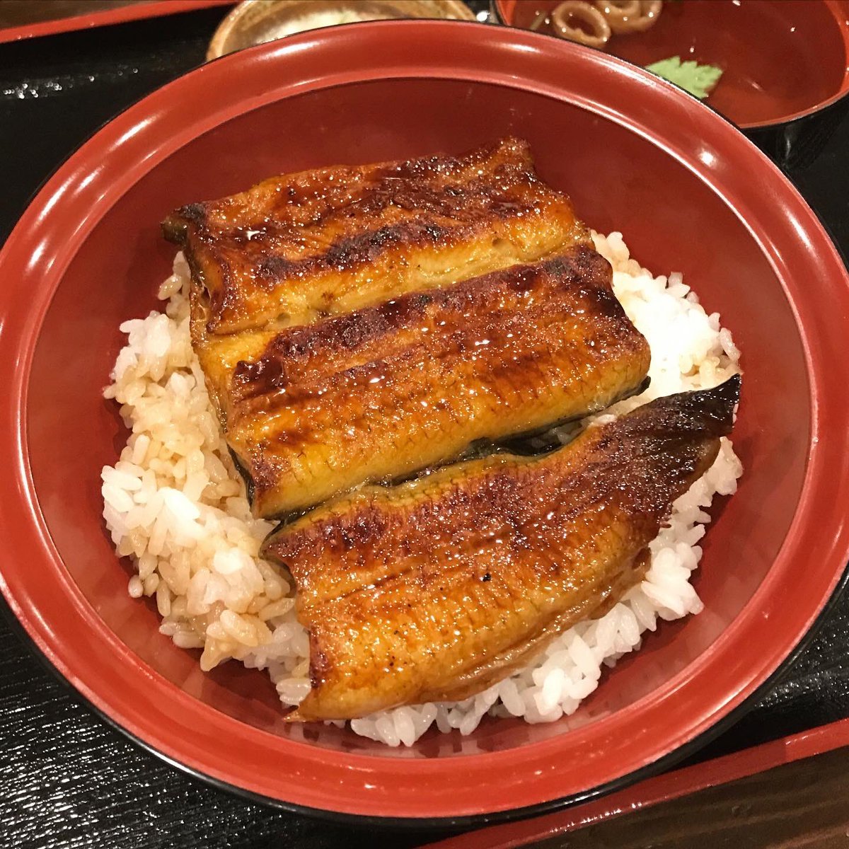 酒徒 しゅと V Twitter 鰻酒 鰻の串で飲んで 一番安い鰻丼のごはん軽めで〆る 鰻は重箱より丼派 しかし 資源量を考えて鰻は滅多に食べないのだが たまに解禁した時の満足度がフツーだと切なくなるな 何もこんなにしょっぱく甘くしなくてもよかろうに