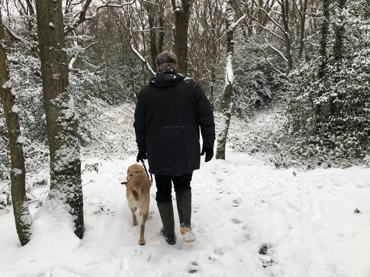 “Where’s the path gone Boss?” 🤔 🐾  #SnowDay #guidedog #guidedogsfortheblind <a href="/guidedogs/">Guide Dogs</a> #LabradorRetriever