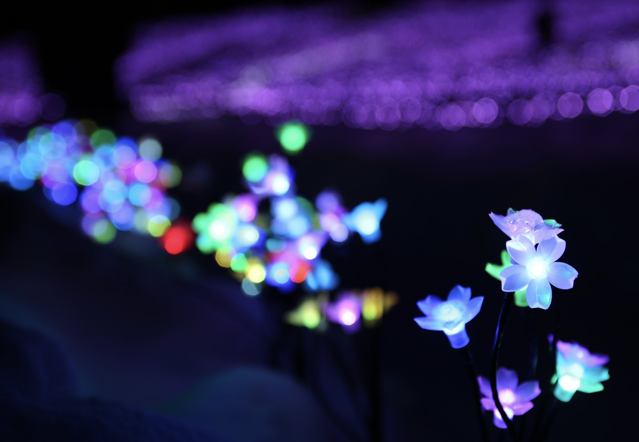 岩手町公式アカウント いわてまちイルミネーション21 冬の花畑は２月14日 日 まで期間限定です 冬を彩る綺麗な花畑 を見にいわてまちにぜひお越しください いわてまち Iiiwate イルミネーション 冬の花畑 石神の丘 岩手 恋人の聖地 花と