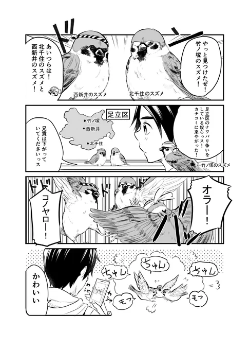 足立区のスズメ3 カチコミ 