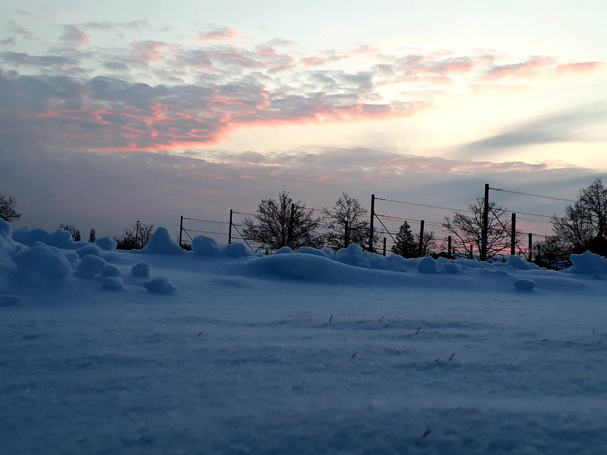 MoMonikale's tweet photo. Schöner Morgen #sunrise #WinterWonderland https://t.co/S6Z0ux3cqx