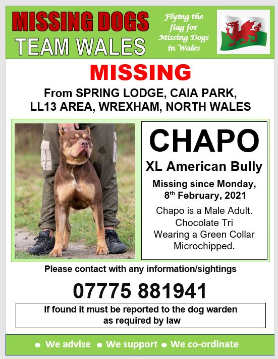 gelert01's tweet photo. #CHAPO ar goll 08/02/2020 #SpringLodge #CaiaPark #Wrecsam #GogleddCymru @rosiedoc666 @MissingPetsGB @CarolPoyerPeett @RachaelB100 @Anthony_Bailey_ @mazzy1412 @missingdogwales @LostDogAlertUK @thedogfinder @veryluckypugs https://t.co/P5Rs2JbP6X