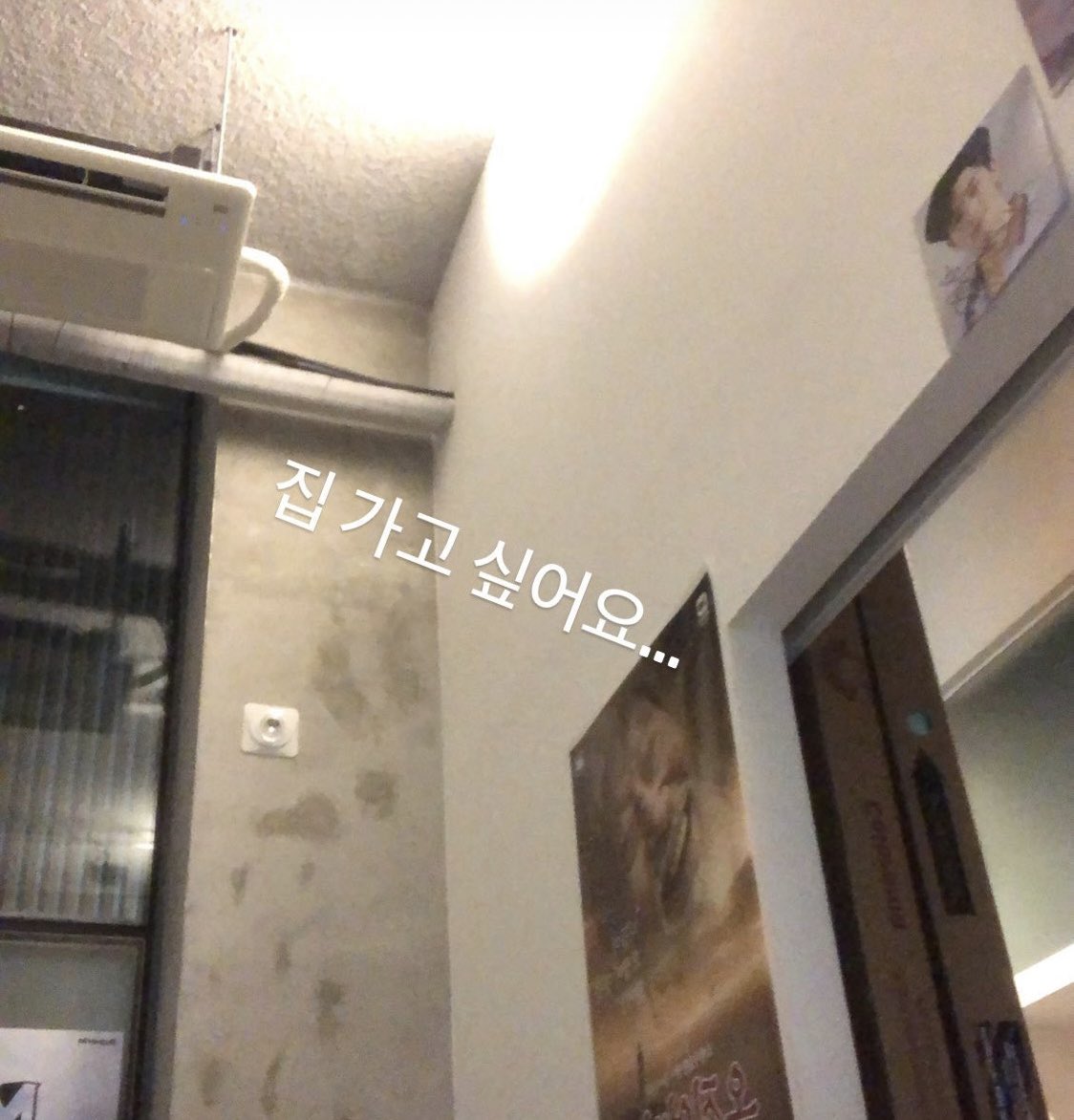 mymusegyul's tweet photo. 포토그래퍼님 스토리에 블랑풀 한결이가..!! https://t.co/RF87kBe73B