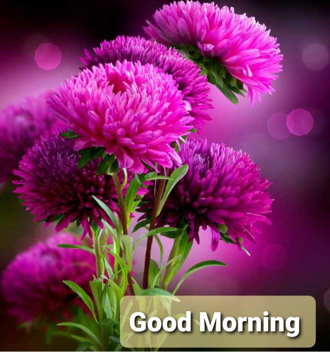 BALDEVBALDEV16's tweet image. 