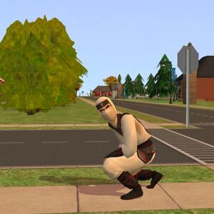 Sims2Ninja's tweet image. Me waiting to get called into the Sims 4 Snowy Escapes featuring my home country but never getting the chance:
#SimsRevolution