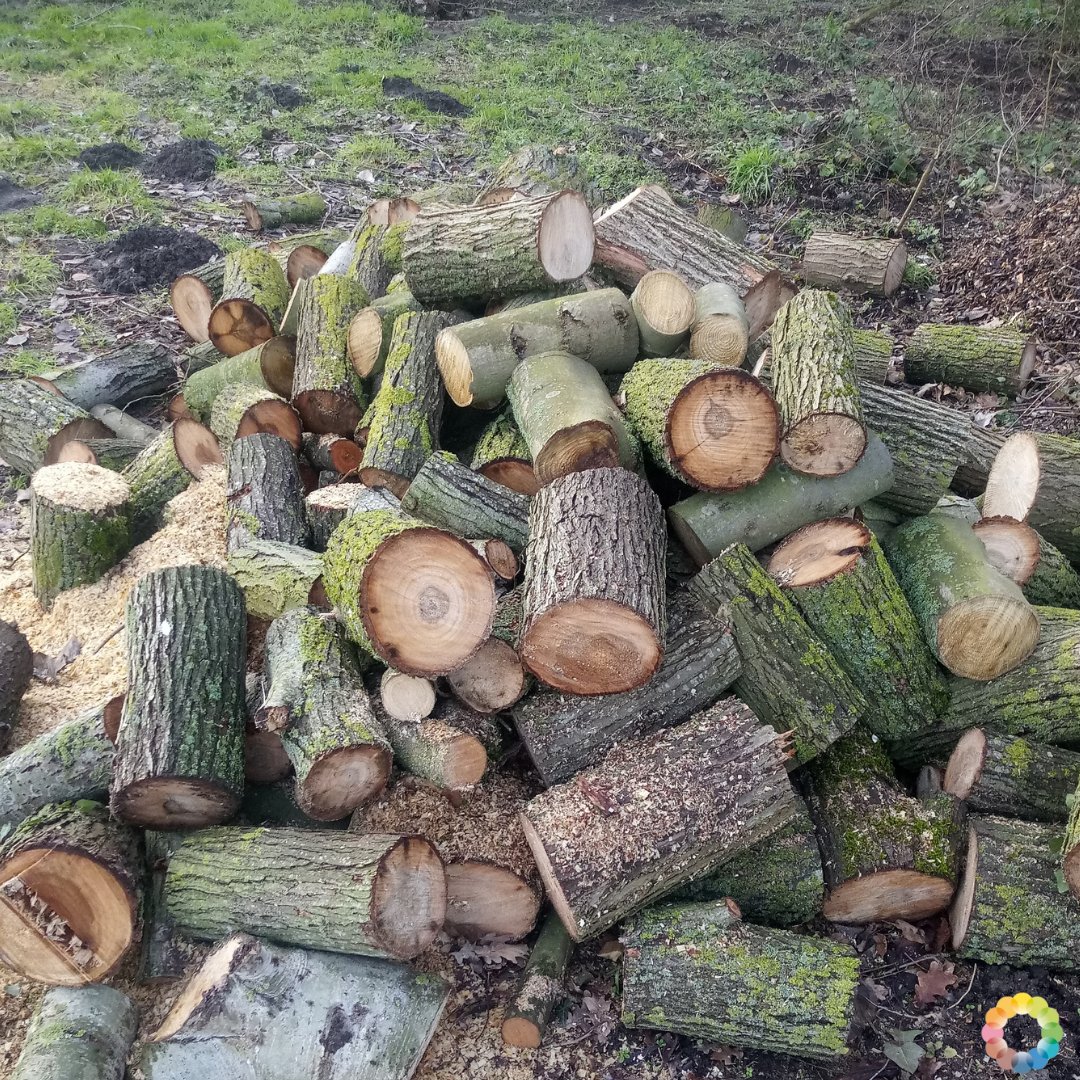 NatuurlijkMoes's tweet photo. Work in progress, al ligt het nu even stil door de koude en sneeuw 😜. Alle houtkoten steken bijna vol 👍. https://t.co/uquOB6cV35