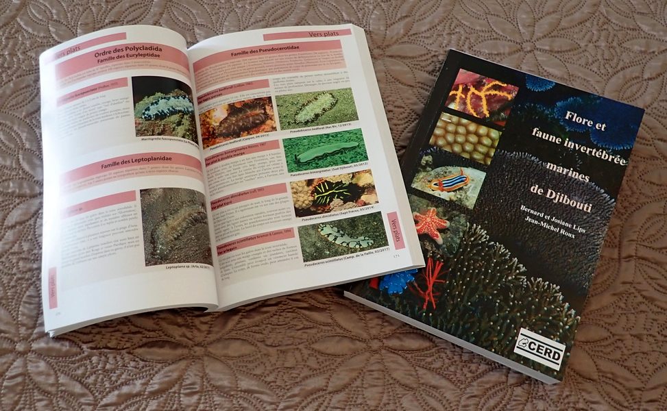 jihemrou's tweet photo. Pas mécontent de vous présenter la maquette de mon prochain livre sur la #biodiversity  marine de #Djibouti. Environ 1000 espèces décrites, 600 nouvelles qui rejoignent l'inventaire du #Vivant local. Bientôt disponible... #CERD https://t.co/9ymR4T9kAI