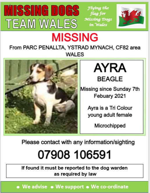 gelert01's tweet photo. #ARYA ar goll 07/02/2021 #ParcPenallta #YstradMynach #CF82 #DeCymru @missingdogwales @rosiedoc666 @Anthony_Bailey_ @mazzy1412 @RedWelshy @CarolPoyerPeett @thedogfinder @PetAlertUK @LostDogAlertUK https://t.co/2iw0KkG70q