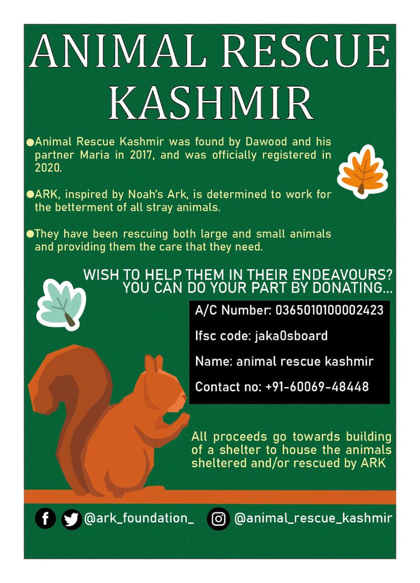 Animal Rescue Kashmir (@ark_foundation_) / Twitter Animal Rescue Kashmir (@ark_foundation_) / Twitter