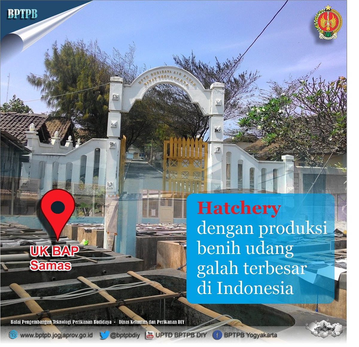 bptpbdiy's tweet photo. Balai Pengembangan Teknologi Perikanan Budidaya khususnya Unit Kerja Budidaya Air Payau Samas,, merupakan hatchery udang galah dengan komoditas udang galah hasil domestikasi sendiri yang menghasilkan produksi benih udang galah terbesar  di Indonesia. 
#udanggalah #jogjaistimewa https://t.co/6rPr1JbgTV