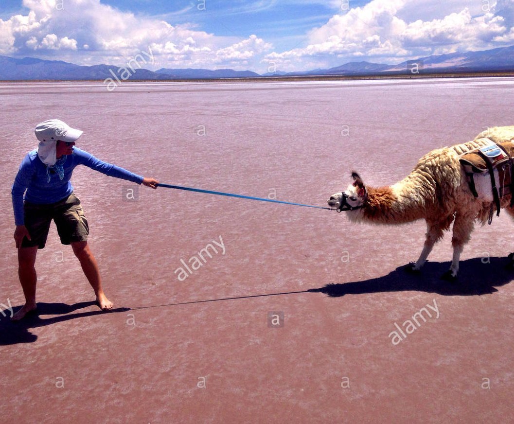 Mainfishy tweet media