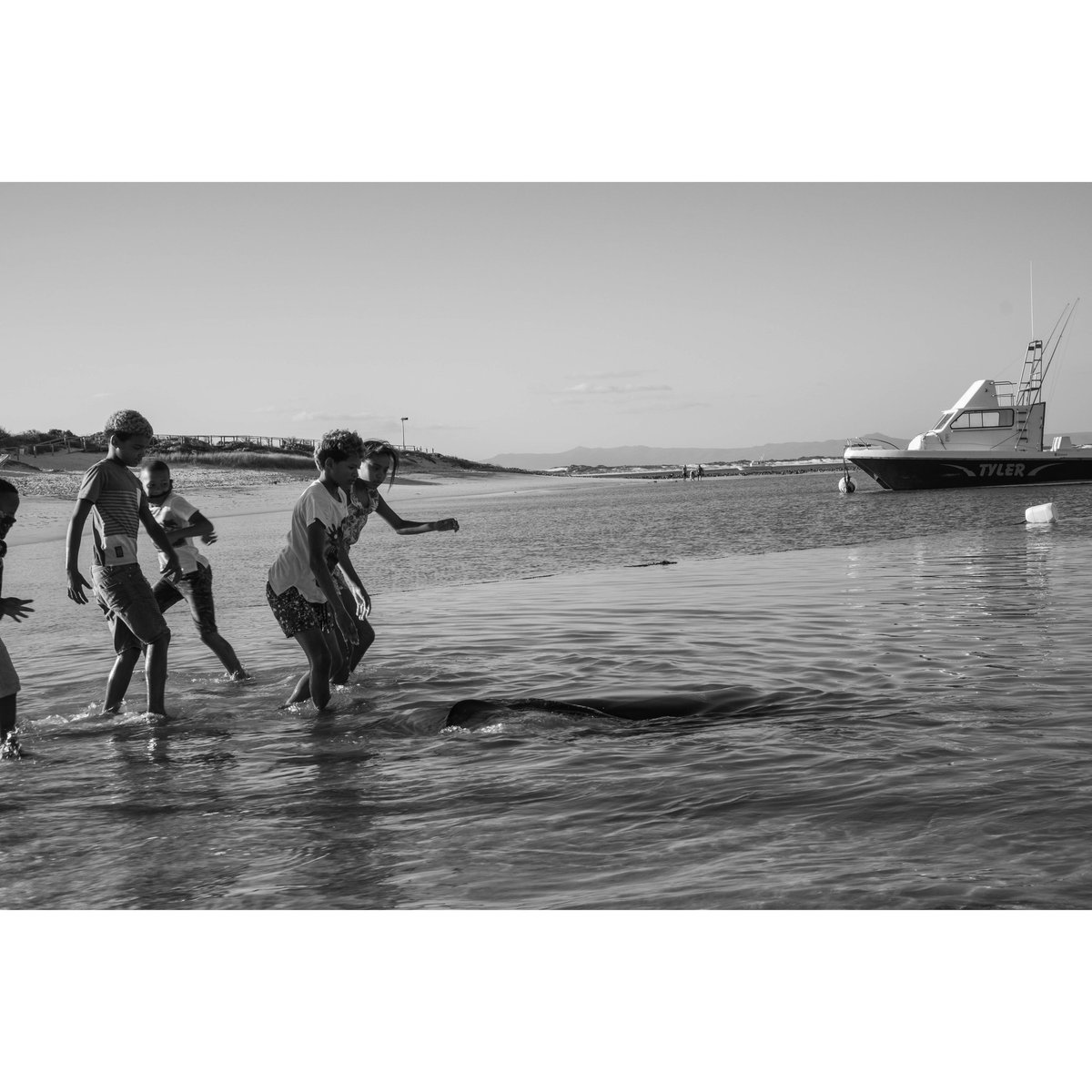 jessicabaleta's tweet photo. Local kids playing with Parrie the stingray.
π¦ π¦ π¦
#Art #Travel #TravelPhotography #Photo #Photography #Photographer #Wanderlust #Adventure #Explore #Traveling #Struisbaai #StruisbaaiHarbour #Parrie #ParrieTheStingray https://t.co/dpAGrG3M3g