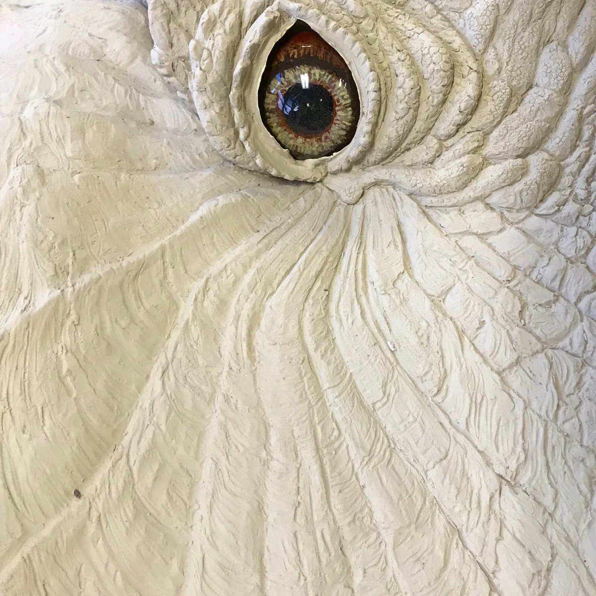 GreyGriffon's tweet photo. day job https://t.co/PG52RmDcKk
