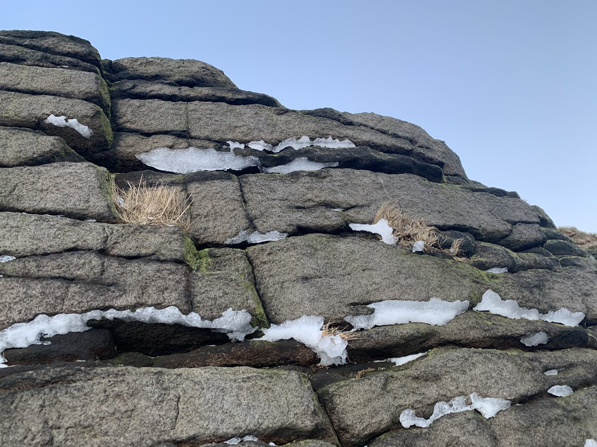 Hayley Lever tweet media