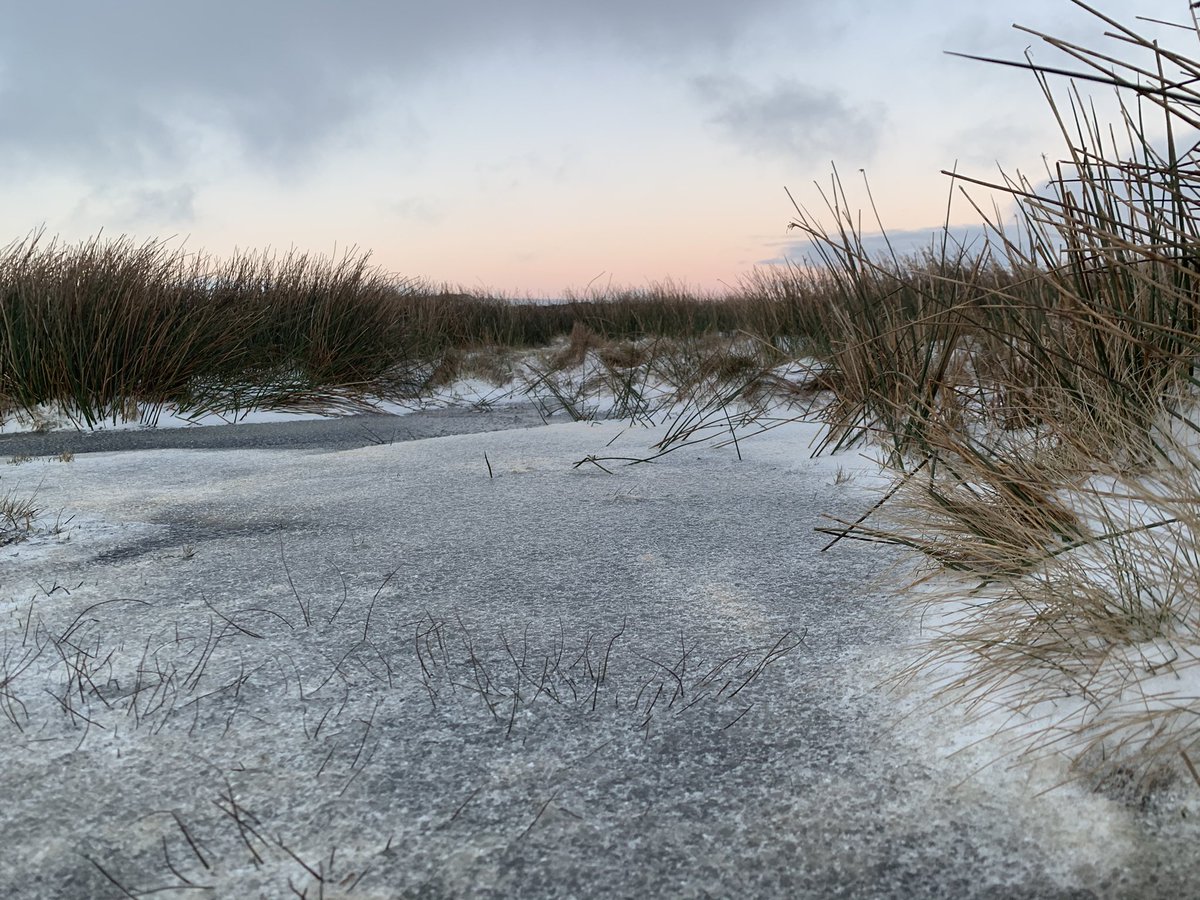 Hayley Lever tweet media