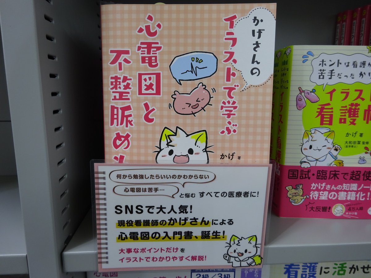 精文館書店 本店3ｆ かげ 著 長根大樹 監 かげさんの イラストで学ぶ 心電図と不整脈めも 南江堂 入荷しました Snsで大人気 現役看護師のかげさんが心電図と不整脈でおさえておきたい 大事なポイント だけをまとめ イラストでわかりやすく