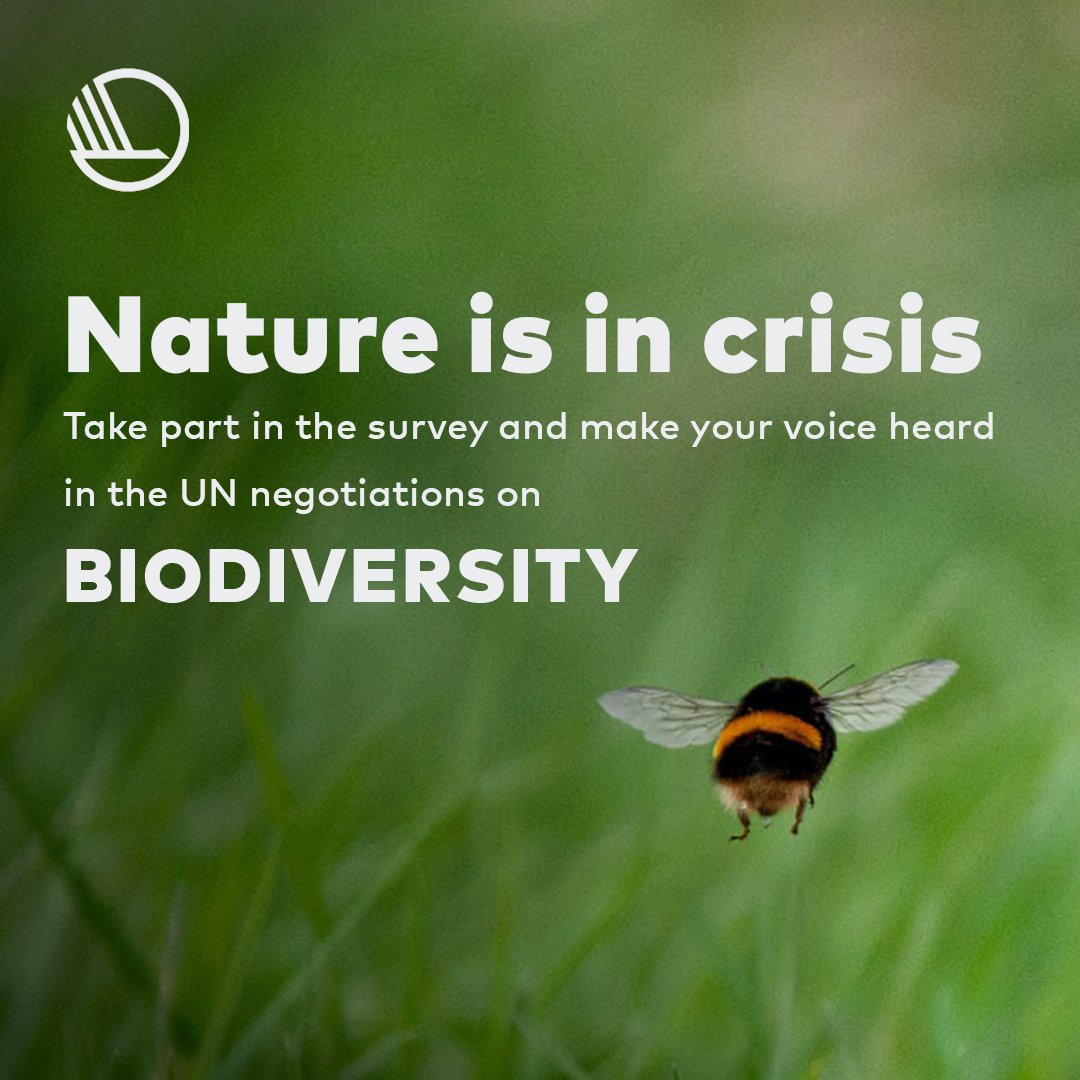 One million plant and animal species are threatened with extinction. Take part in the survey and help draw up demands for a powerful @UN agreement for nature. THE NEGOTIATIONS ARE UNDERWAY. MAKE YOUR VOICE HEARD:👉
bit.ly/3cIKBkK
#youth4biodiversity #ClimateAction