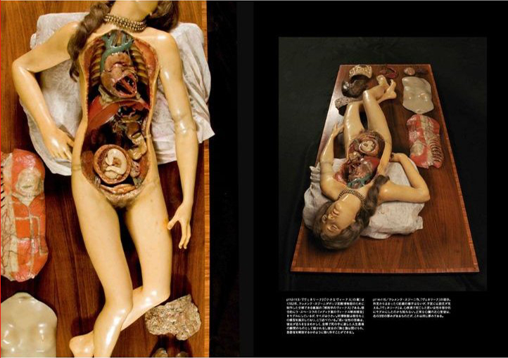 《和》　舟香合の辞　慈照寺住職　大瀧叟　謹白　花押　共箱　美品　二重箱 最終在庫 蝋人形シリーズ 部位不明内臓4枚 人体模型 医療用 病院 標本