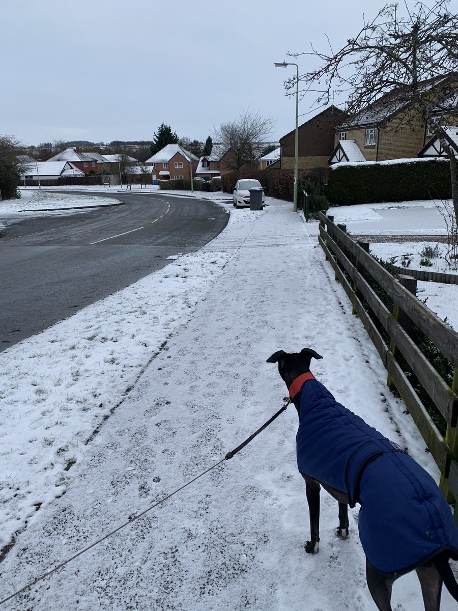 Chilly one this morning 🥶