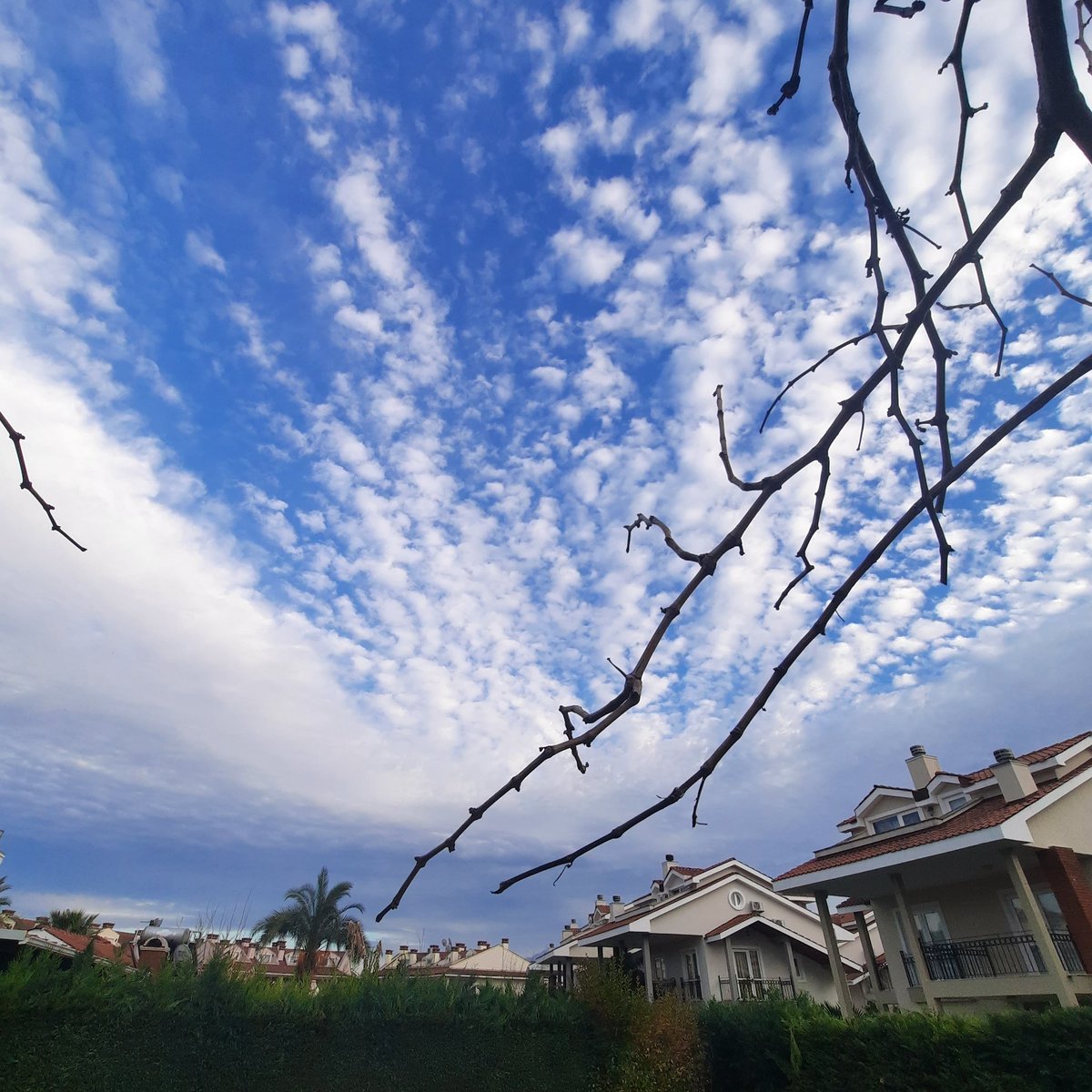 #Nikond5600 #follotrick #tb #Cloud #BlueHour #SkyChildrenOfTheLight #Turkey #cukur #oasisAtoZ #holiday #BookingNow #BookReview