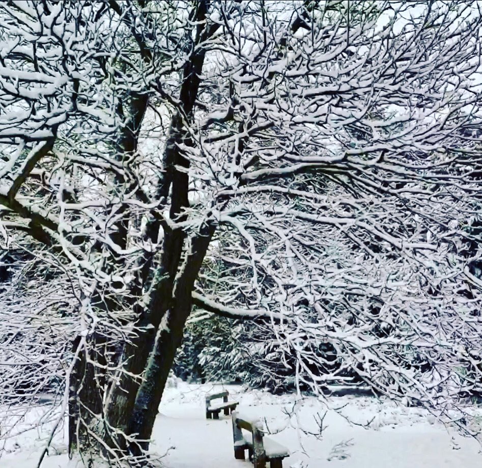 CafeCobtree's tweet photo. We are CLOSED today due to the current weather conditions ❄️🌳🌲

Please be advised that the toilets will not be open 

Stay safe 🙏
Maidstone Borough
#cobtreemanorpark #cobtreemanorparkcafe #aylesford #kent #maidstone #outinkent #stormdarcy #closedtoday #staysafe https://t.co/87Gex9R3gW
